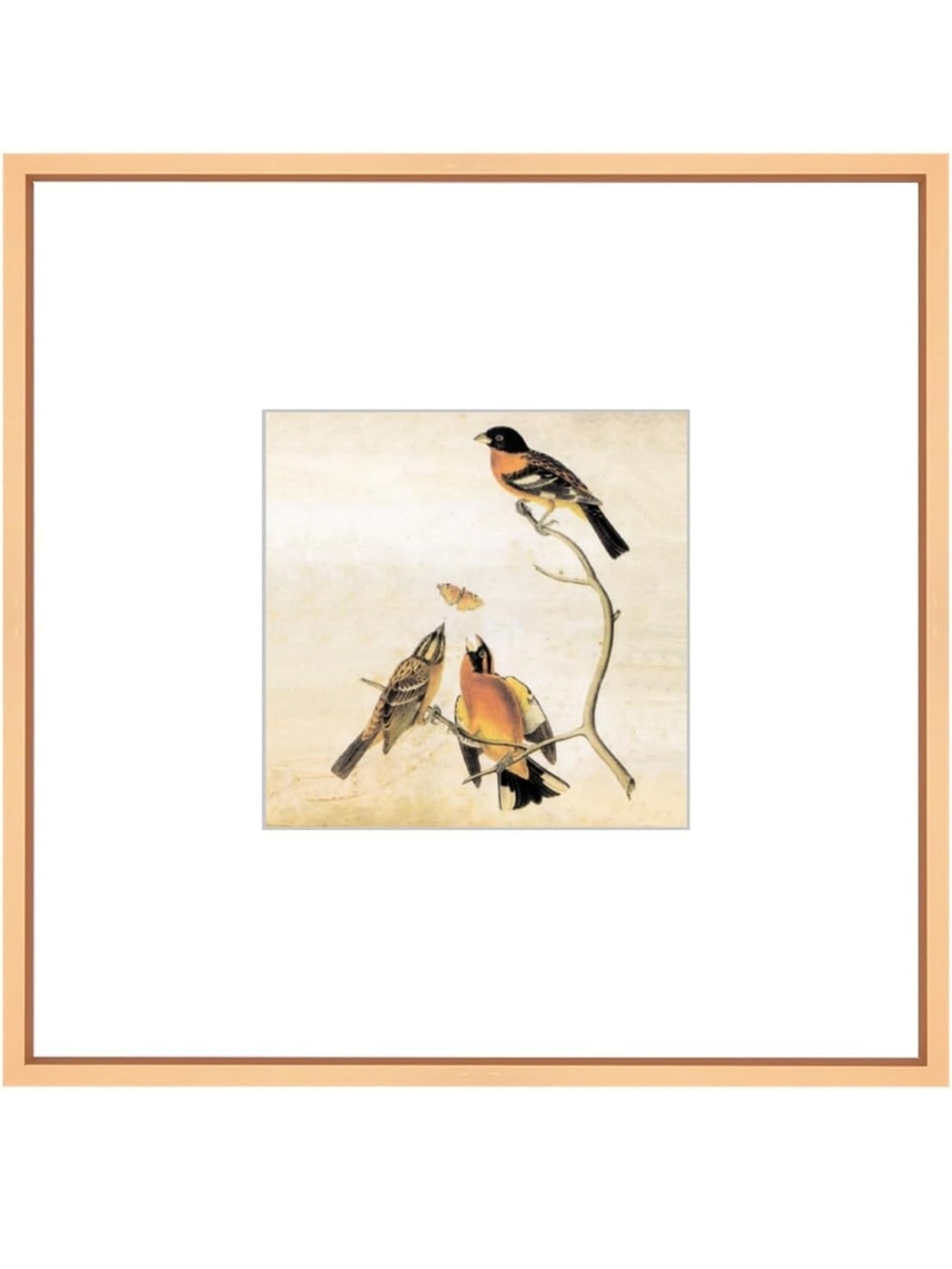 8x8 Inch Gold Metal Square Photo Frame With HD Glass (46)